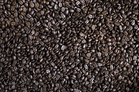 A close-up view of numerous dark roasted coffee beans filling the image. The beans are tightly packed and exhibit a glossy, oily surface characteristic of freshly roasted coffee. The irregular shapes and natural texture of the beans are clearly visible.