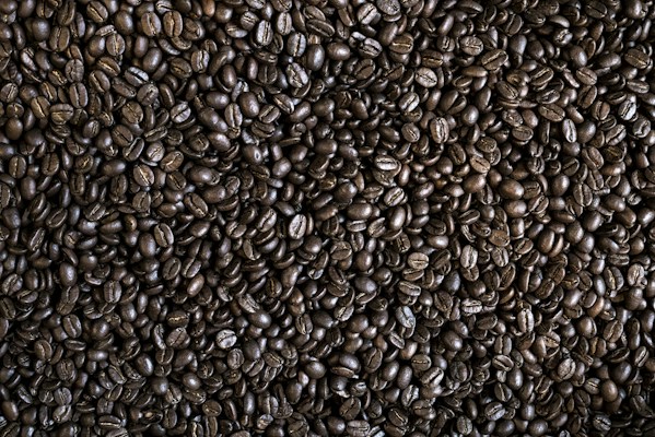 A close-up view of numerous dark roasted coffee beans filling the image. The beans are tightly packed and exhibit a glossy, oily surface characteristic of freshly roasted coffee. The irregular shapes and natural texture of the beans are clearly visible.