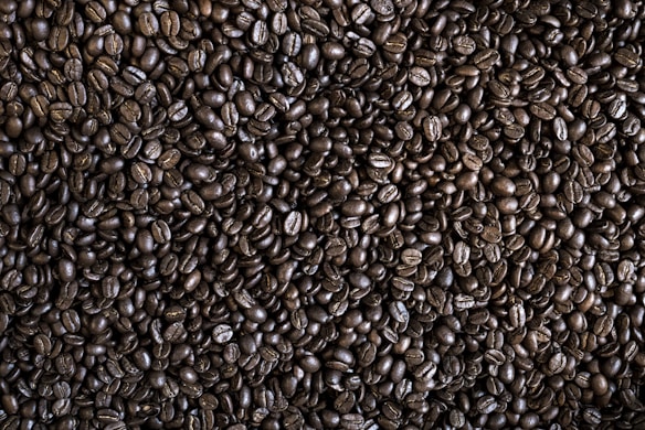 A close-up view of numerous dark roasted coffee beans filling the image. The beans are tightly packed and exhibit a glossy, oily surface characteristic of freshly roasted coffee. The irregular shapes and natural texture of the beans are clearly visible.