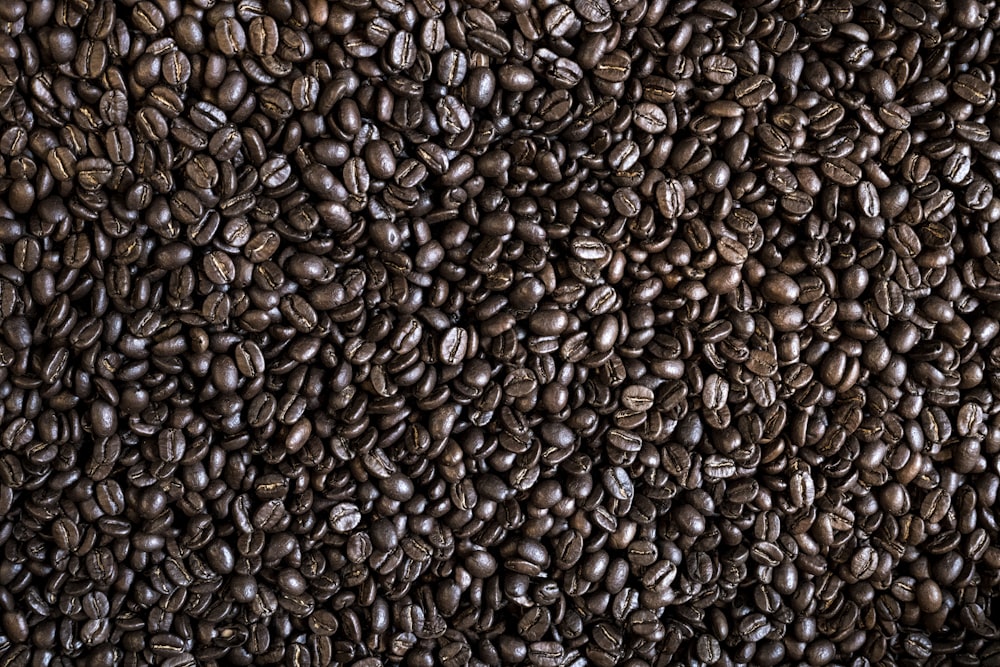 Lote de grãos de café