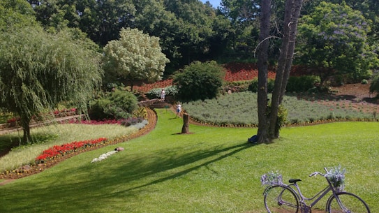 A picturesque garden featuring vibrant flower beds with red and purple blooms arranged in patterns. A lush green lawn is in the foreground, adorned with a vintage bicycle decorated with flowers. Tall trees and dense foliage border the garden, providing a backdrop of rich greenery. A few people are visible strolling along the garden paths, enjoying the serene surroundings.
