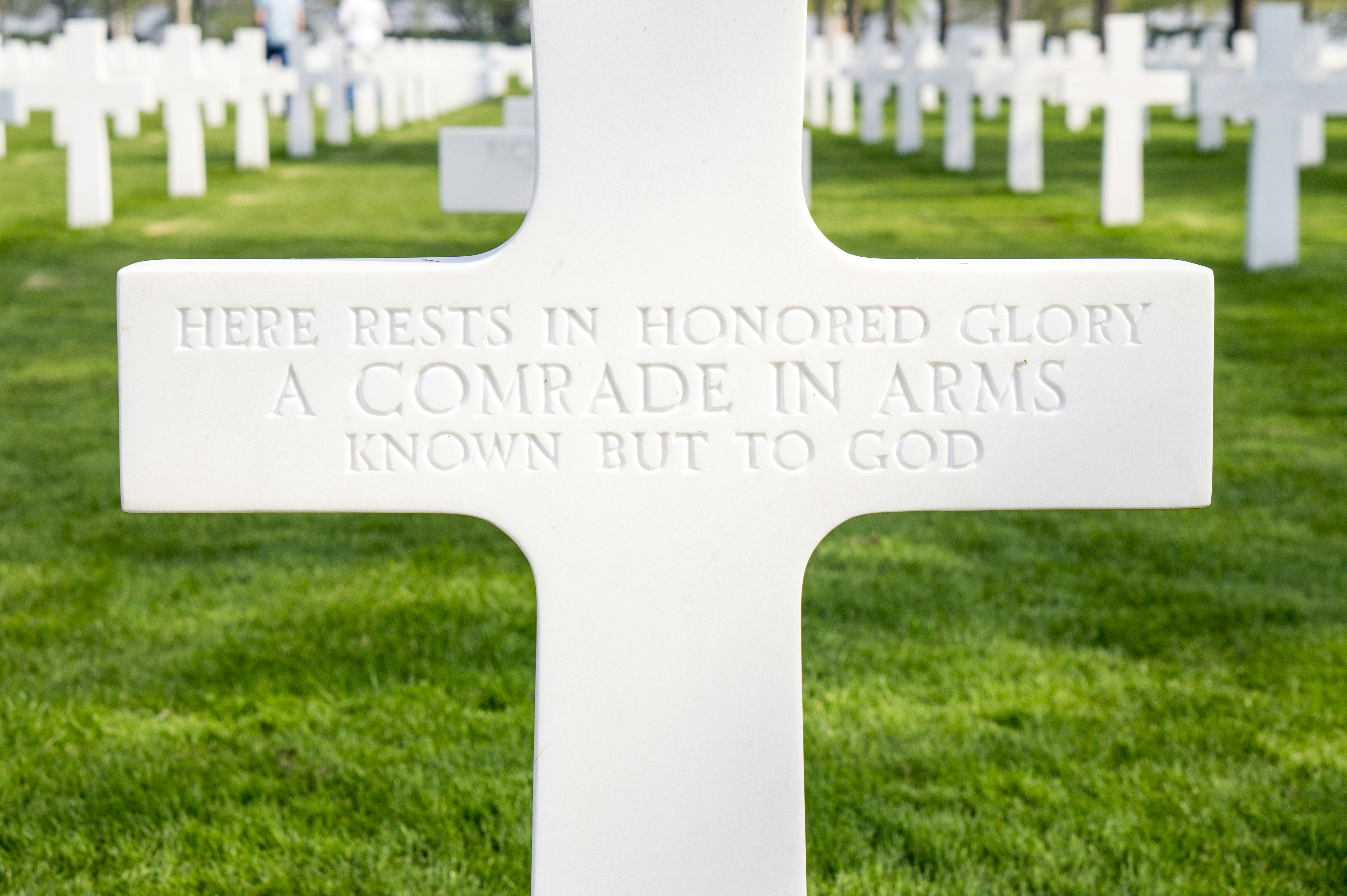 Powerful Veterans Day Inspirational Quotes to Honor Heroes