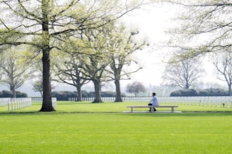 A person sits alone on a bench, looking over a large, well-manicured cemetery with rows of white gravestones. The background features tall trees with fresh green leaves under a pale blue sky.