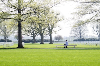 A person sits alone on a bench, looking over a large, well-manicured cemetery with rows of white gravestones. The background features tall trees with fresh green leaves under a pale blue sky.