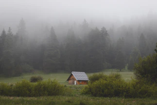 A serene outdoor setting with a rustic cabin and solar panels.