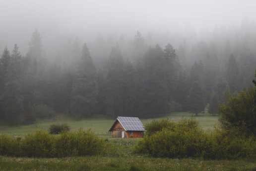 A serene off-grid cabin surrounded by trees with solar panels on the roof at sunset.