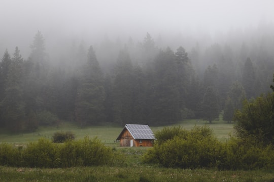 A cozy cabin in the woods powered by solar panels under a clear blue sky.