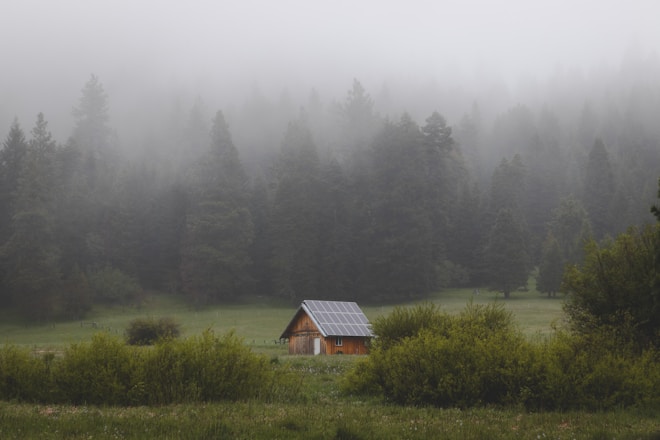 A cozy tiny house surrounded by greenery with a small solar panel on the roof.