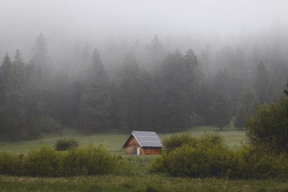A cozy off-grid cabin surrounded by trees with solar panels on the roof under a clear blue sky.