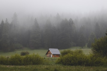 A small wooden cabin with solar panels on its roof sits in a lush green meadow surrounded by dense fog-covered pine trees, creating a serene and secluded atmosphere.
