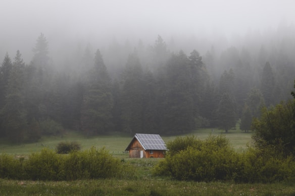 A small wooden cabin with solar panels on its roof sits in a lush green meadow surrounded by dense fog-covered pine trees, creating a serene and secluded atmosphere.