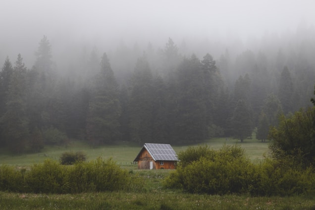 A small wooden cabin with solar panels on its roof sits in a lush green meadow surrounded by dense fog-covered pine trees, creating a serene and secluded atmosphere.