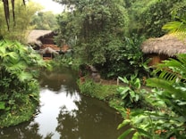 A serene, lush tropical scene features a small pond surrounded by dense greenery. Vibrant green plants and trees envelop a thatched-roof hut, partially visible in the background. The reflective water adds a tranquil, natural element to the setting.