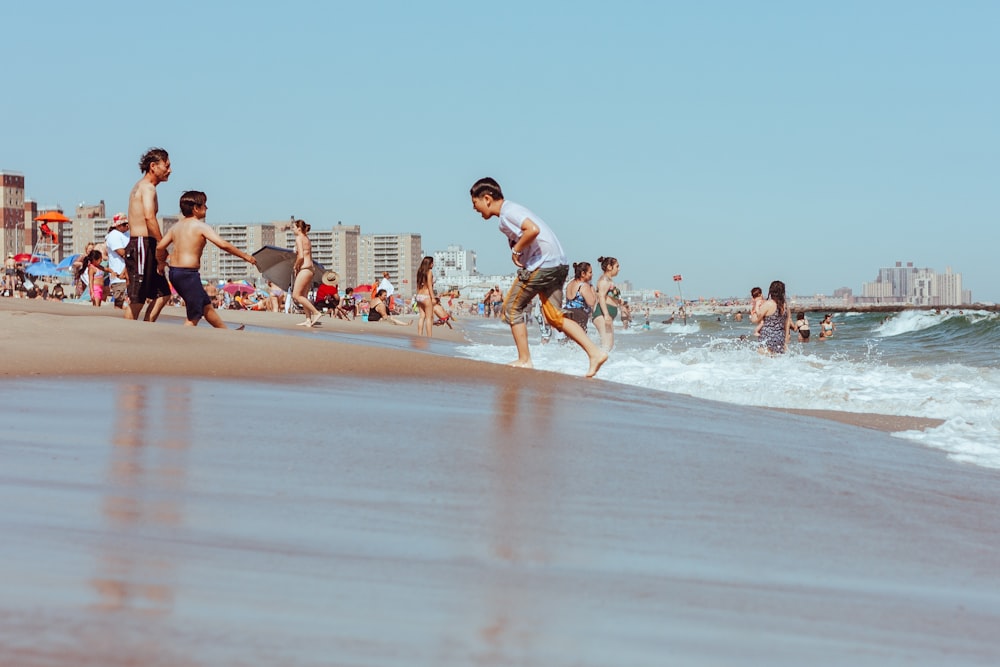 people on beach during daytime