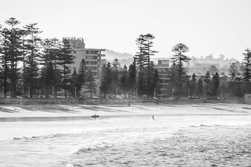 A black and white coastal scene features a sandy beach with a lone surfer holding a surfboard and another person walking along the shore. Tall trees line the promenade, behind which several modern buildings can be seen. The ocean in the foreground is calm, with slight waves reaching the shore.