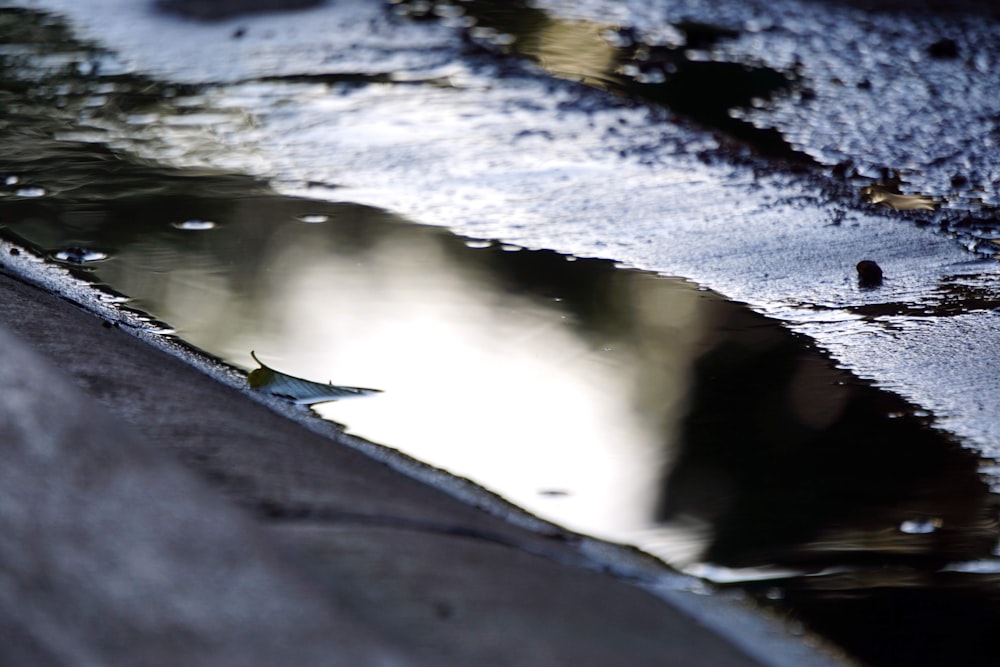 tilt-shift lens photo of puddle of water