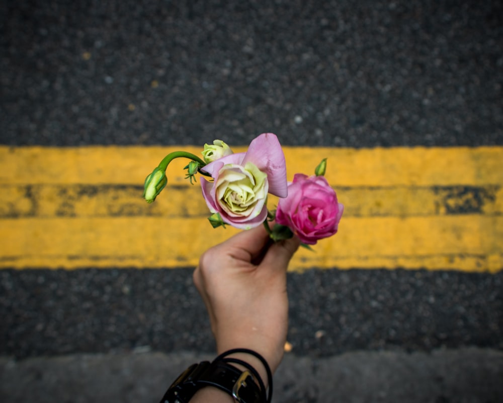 tilt-shift lens photography of person holding two pink roses at top yellow line of blacktop road