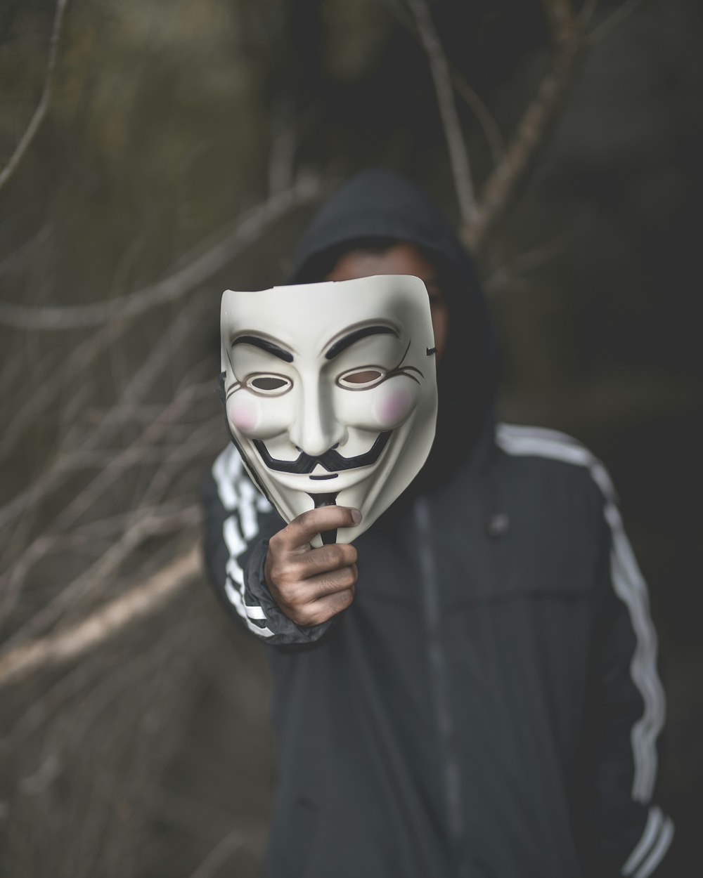 person holding Guy Fawkes mask