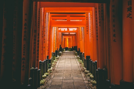 grey concrete pathway with orange walls in Fushimi Inari Taisha Japan