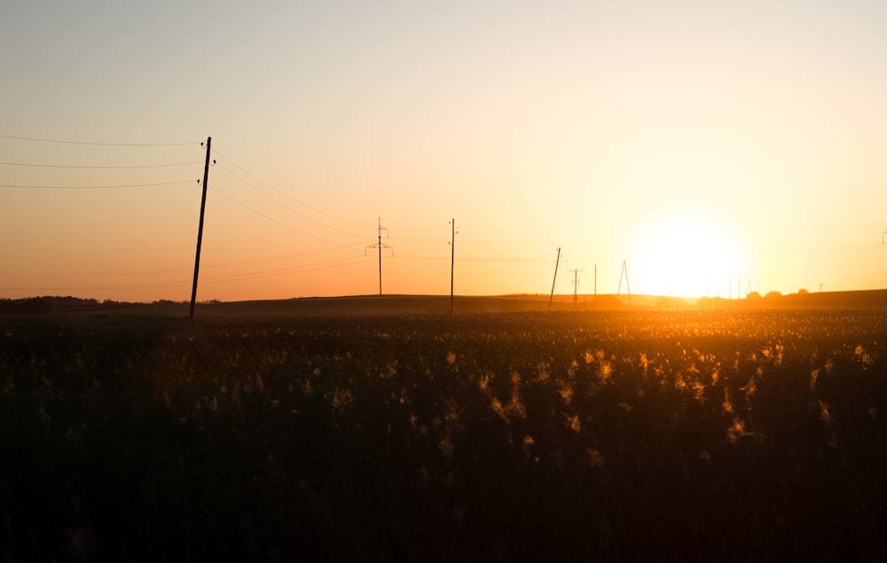 silhouette of field during sunrise