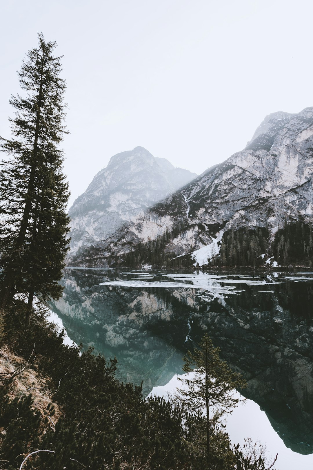 Highland photo spot Parco naturale di Fanes-Sennes-Braies Prags