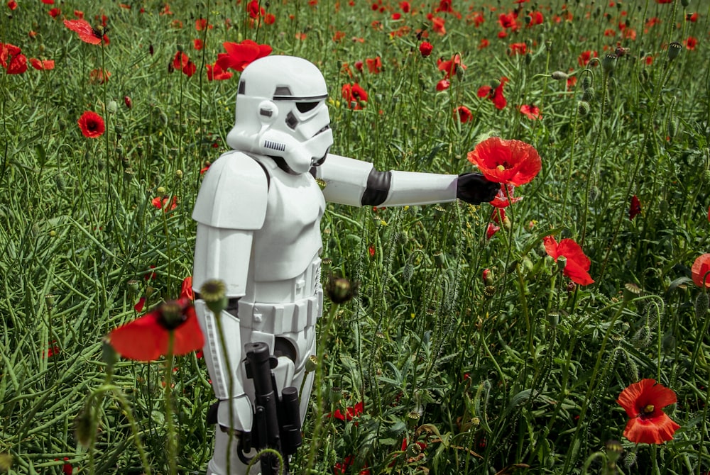 stormtrooper picking red poppies during daytime