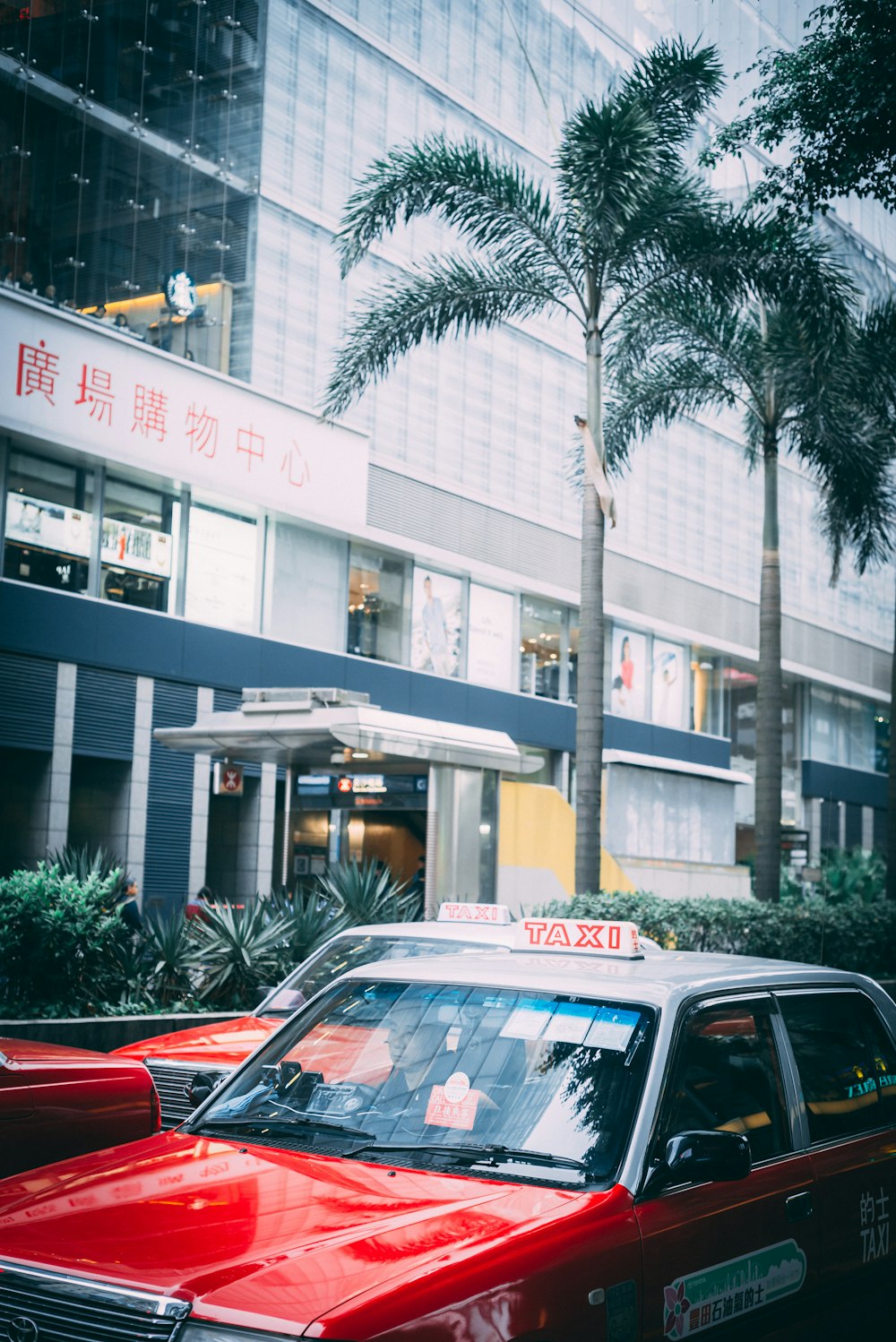 person taking photo of street with cars