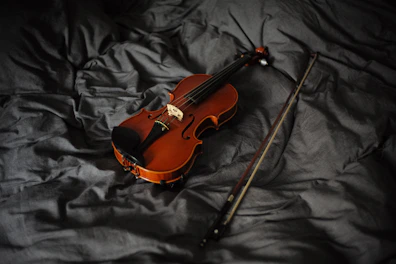 A vibrant violin resting on a velvet cushion with soft natural light.