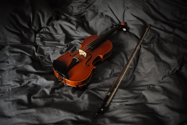 Close-up of a beautifully crafted wooden violin resting on a soft velvet cloth.