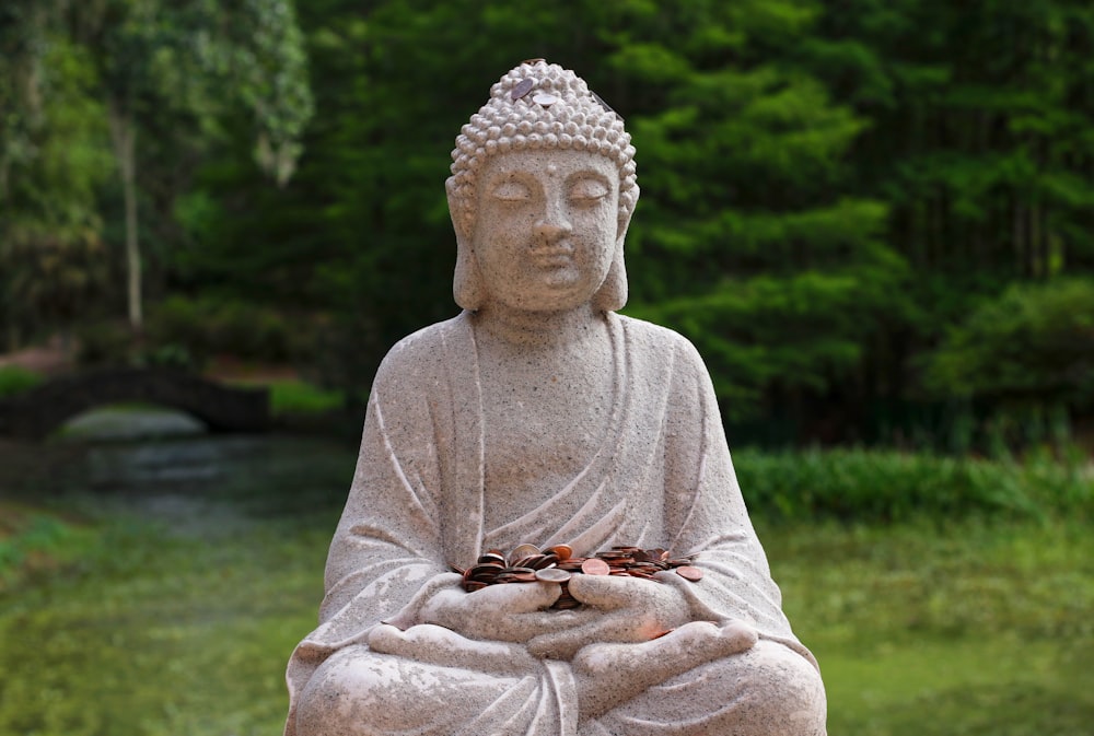 shallow focus photography of Gautama Buddha statue
