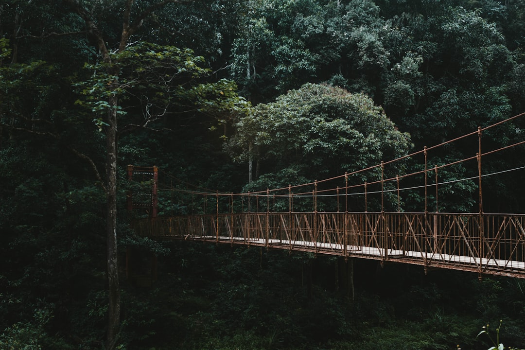 brown suspension bridge