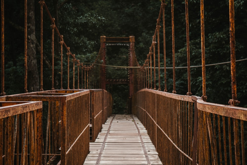 brown hanging bridge surrounded by trees