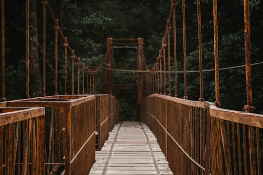 brown hanging bridge surrounded by trees in Kodagu India