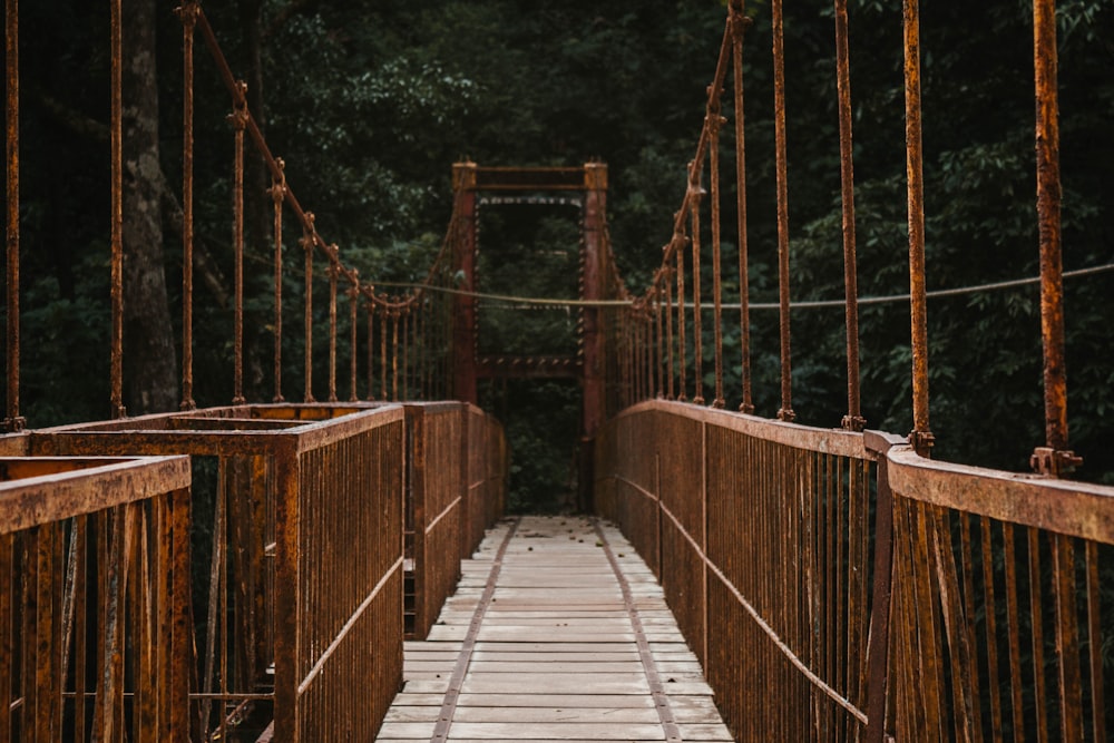 Puente colgante marrón rodeado de árboles