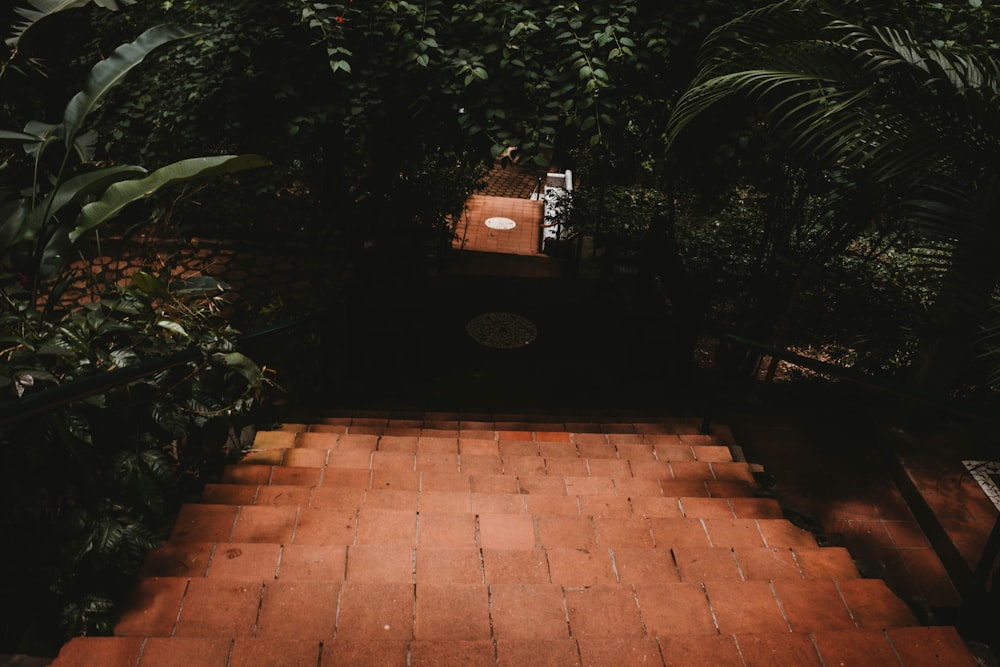 photography of red concrete stairs surrounded by green leaf trees at daytime