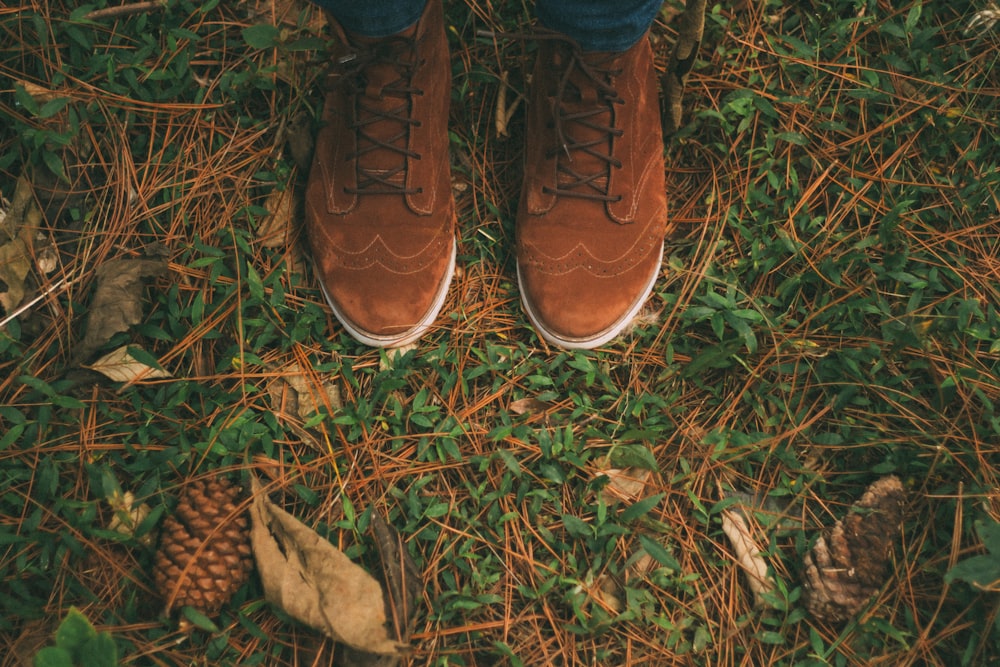 푸른 잔디에 갈색 윙팁 스웨이드 신발 한 켤레