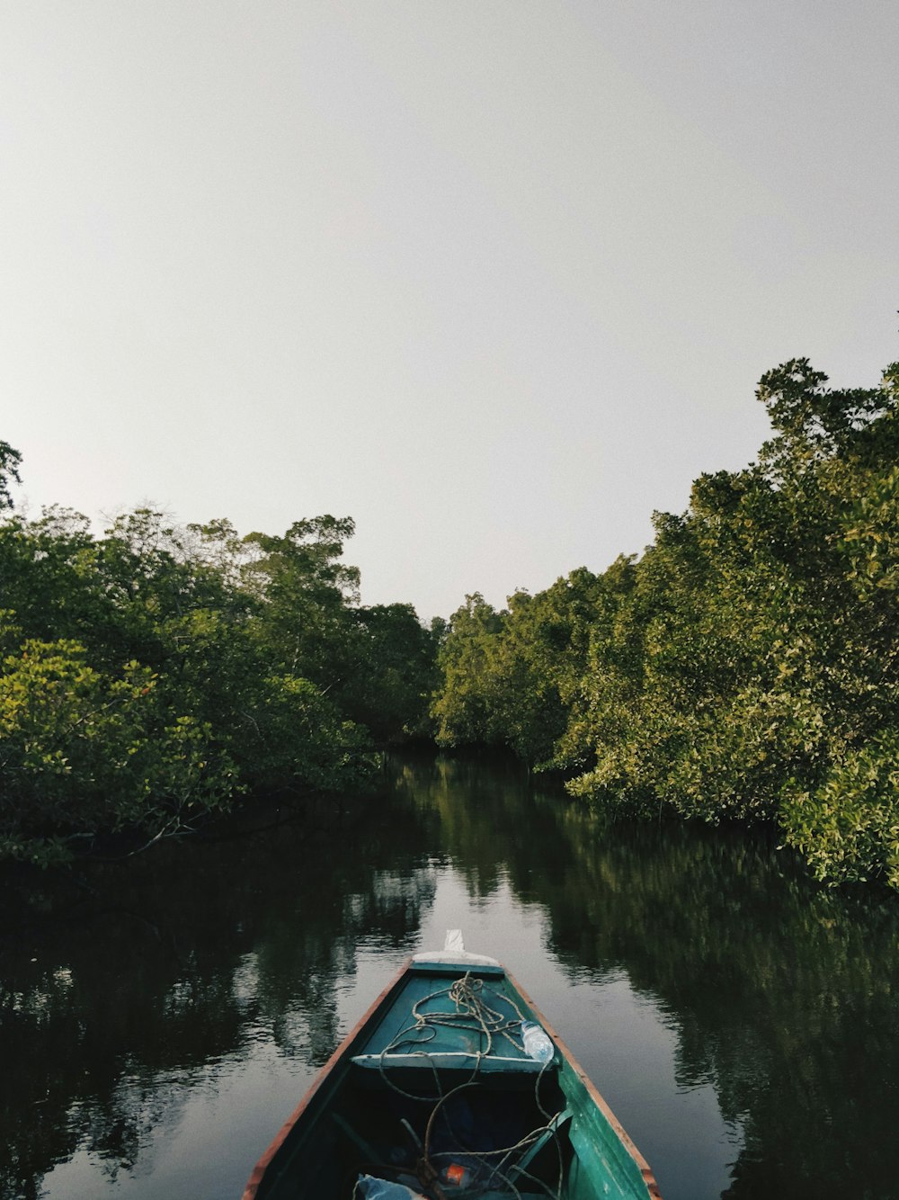 Bote en el cuerpo de agua cerca del bosque