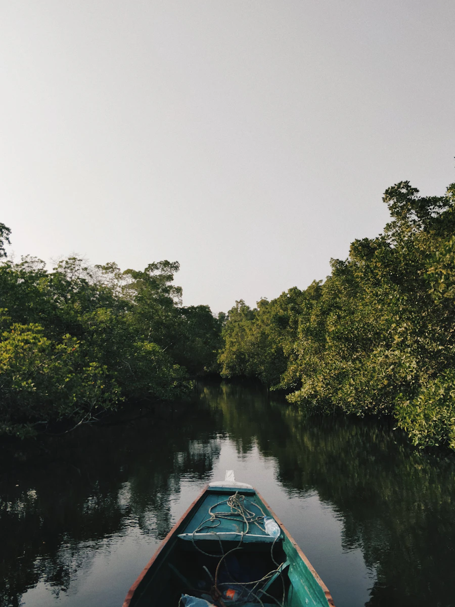 Sundarban 1 Day Tour