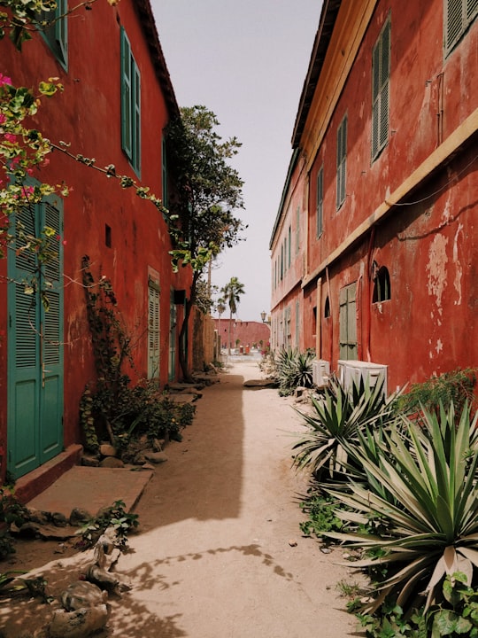 red 2-storey houses in Gorée Senegal