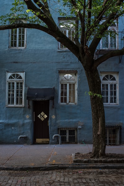 blue structure near green leafed tree