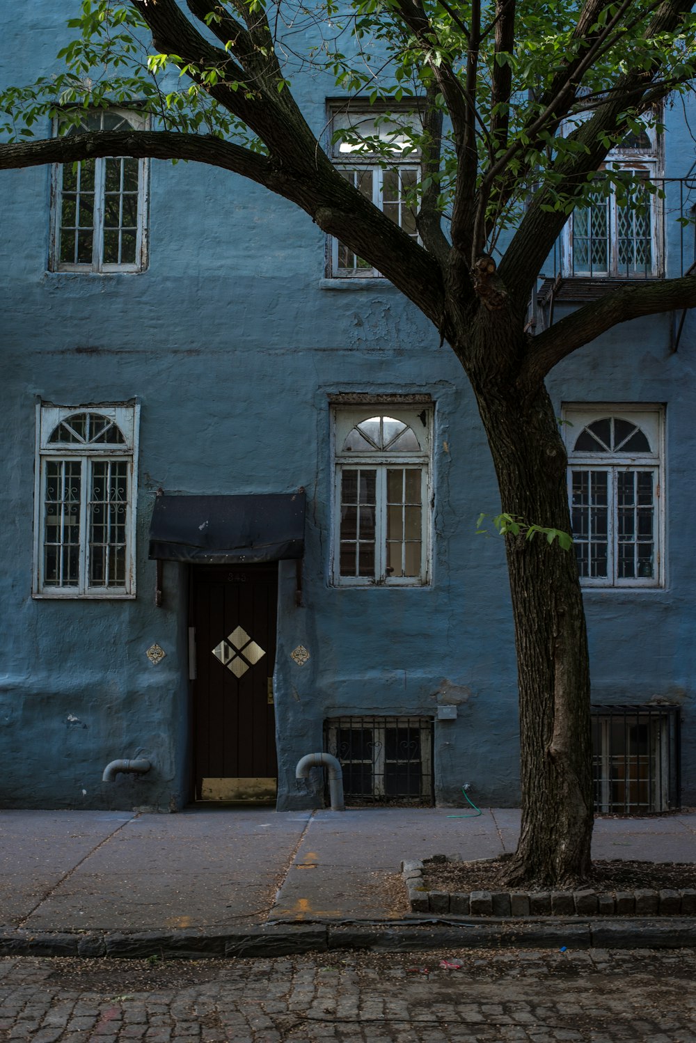 estrutura azul perto da árvore de folhas verdes