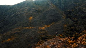 A person stands on a rugged hilltop, capturing a photograph of the vast, lush green mountainside. The landscape is dotted with patches of orange and brown foliage, hinting at an autumnal setting. The mountainous backdrop presents a serene and expansive natural vista.