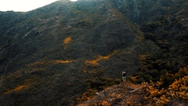 A person stands on a rugged hilltop, capturing a photograph of the vast, lush green mountainside. The landscape is dotted with patches of orange and brown foliage, hinting at an autumnal setting. The mountainous backdrop presents a serene and expansive natural vista.