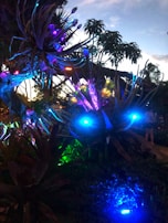 A vibrant garden lit by solar-powered lights, showcasing sustainable energy in action.