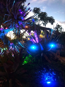 Illuminated plants with vibrant LED lights of various colors create a surreal, futuristic garden scene against a dusk sky. The foliage includes spiky leaves and small, glowing orbs, casting an ethereal glow in the surroundings.