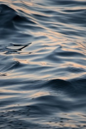 close-up body of water
