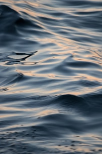 close-up body of water