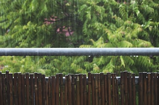 Raindrops fall against a lush green backdrop of trees, with a bamboo fence and metal railing in the foreground. The image captures a sense of tranquility and nature's freshness during rainfall.