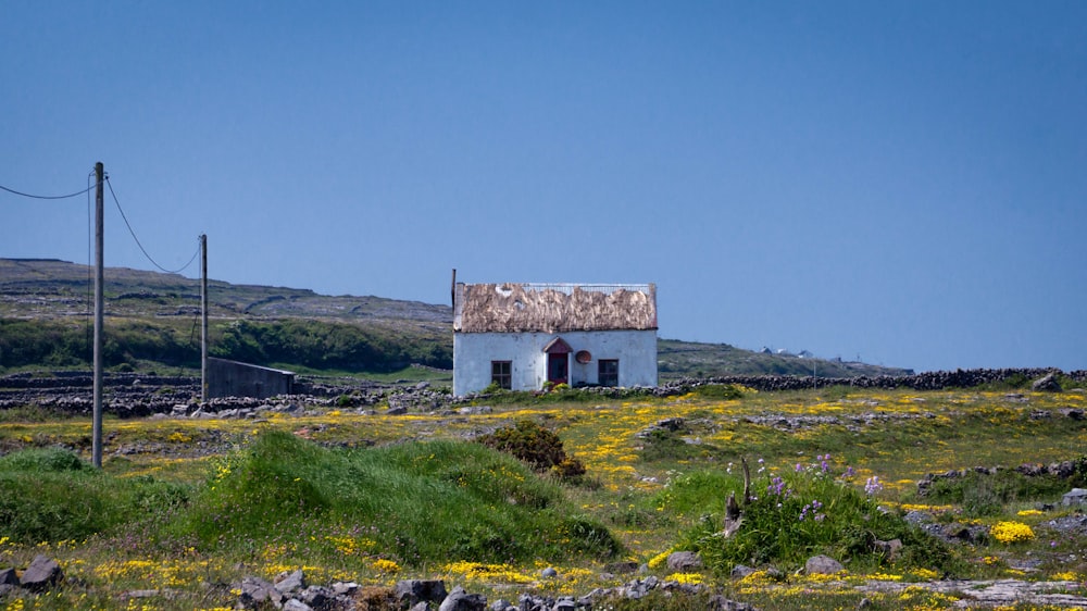 white shed on grass field