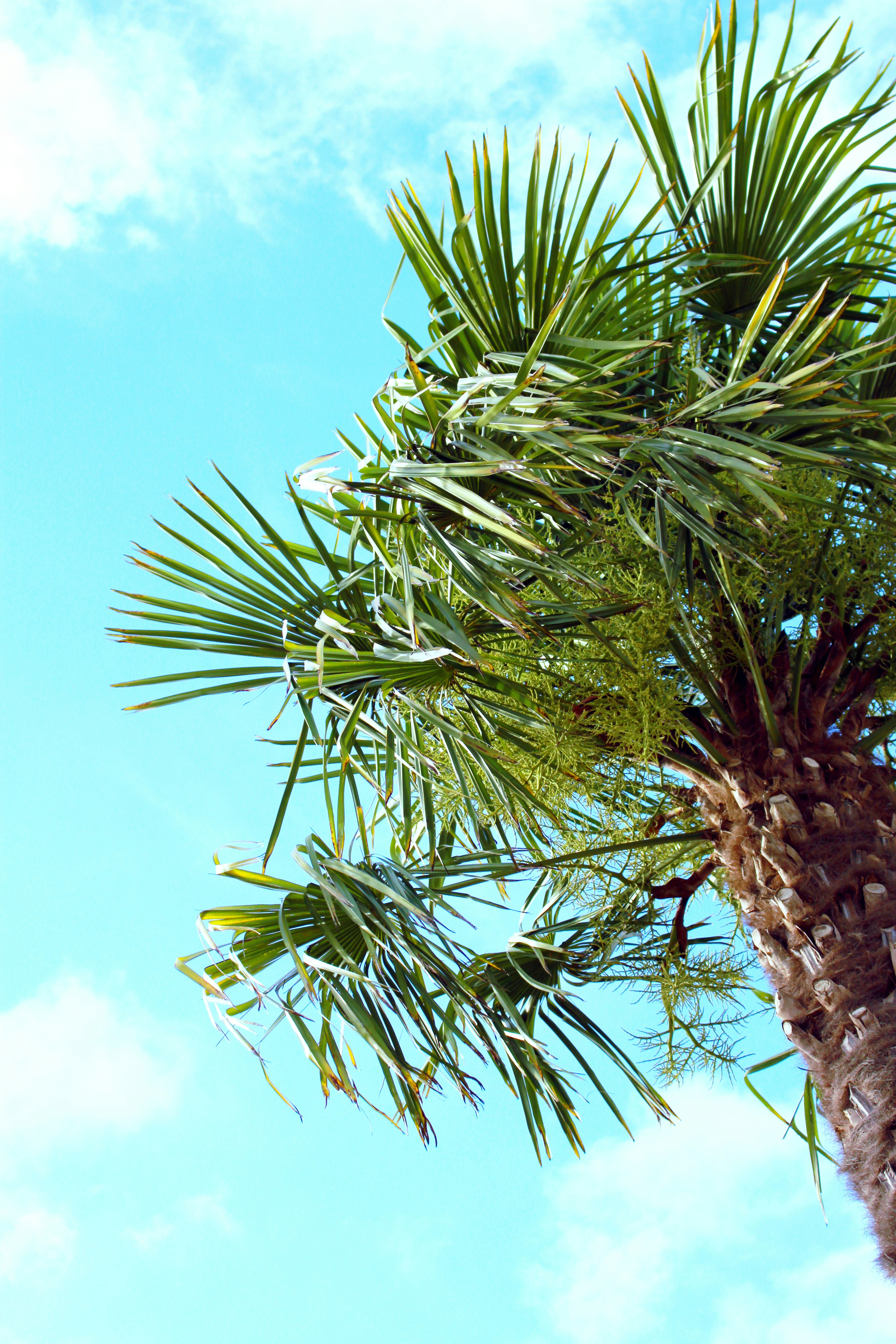 Photo by anacristina